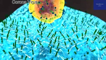 CoronaVirus - International Emergency Declared