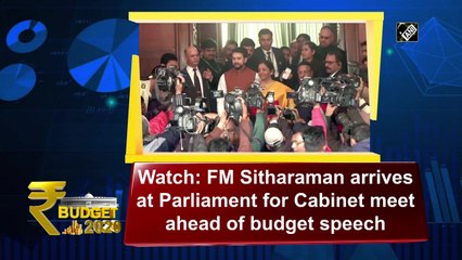 Watch: FM Sitharaman arrives at Parliament for Cabinet meet ahead of budget speech