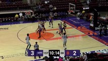 Caleb Martin NBA G League Highlights: January 2020