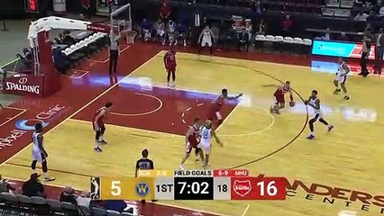 Marko Guduric NBA G League Highlights: January 2020