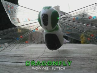 Dragonfly Max #1 présentation
