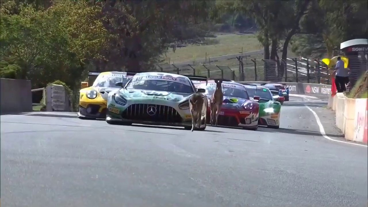 12H Bathurst 2020 Practice 5 Kangaroo On track Red Flag
