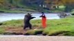 How To Fight A Bear Real Animal Fight Bear Vs Human   The terrible attacks of bears on humans