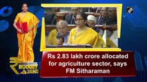 Budget 2020: Rs 2.83 lakh crore allocated for agriculture sector, says FM Sitharaman