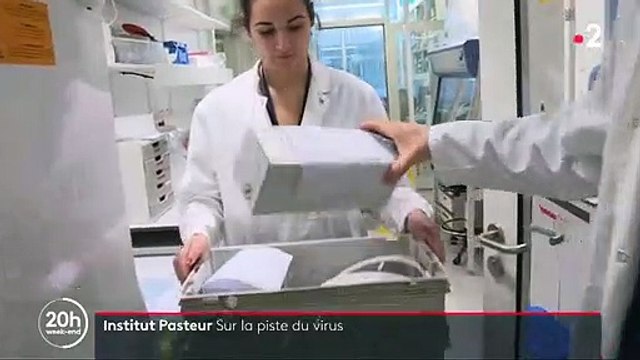 Voici comment l'Institut Pasteur travaille sur le fameux coronavirus chinois pour tenter de l'identifier au plus vite