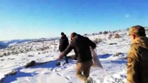 Mardin'de avcılar yaban hayvanları için doğaya yiyecek bıraktı