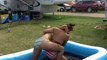 Country Fest Bikini Mud Wrestling, Ariel & Gina Rumble In the Jungle