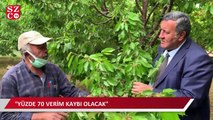 “Dünyaca ünlü Ulukışla kirazında yüzde 70 verim kaybı var”