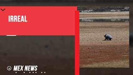 AMLO CULPA A "VEDA ELECTORAL" POR FRENAR AYUDA ANTE SEQUÍAS