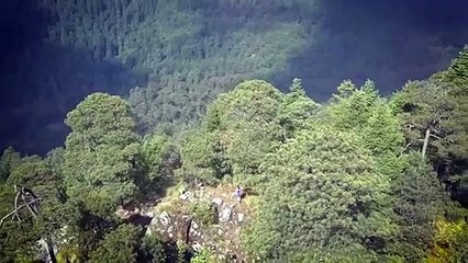 ¿Qué es el trail running y por qué deberías de hacerlo?