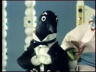 Titus le petit lion - arrivée en Jaimadire