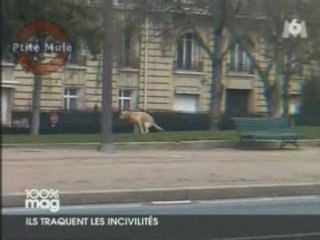 Les crottes de chiens