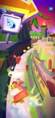 Wumpa Crash Skin Gameplay - Crash Bandicoot: On The Run! #Shorts