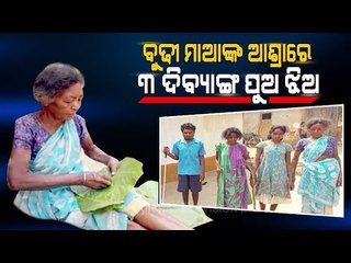 Special Story | 70 Year Old Woman Shoulders Burden Of 3 Dibyang Children