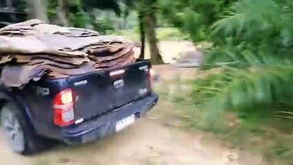 ระนอง  ทหารกองกำลังเทพสตรี จับยางพาราเถื่อนข้ามแดนต่อเนื่อง