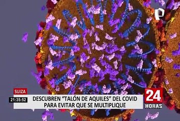 Descubren el punto débil del coronavirus para evitar que se multiplique