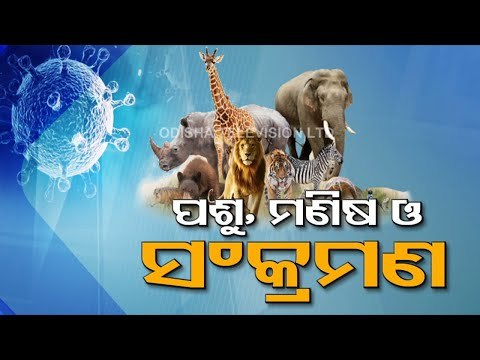 Union Environment Ministry Writes To All PCCFs To Keep Animals In Zoos & Sanctuaries COVID Free