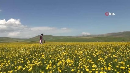 Ahlat'ta renk cümbüşü