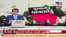 Survey to measure damage caused by Cyclone Tauktae begins _ Gujarat Revenue MInister Kaushik Patel