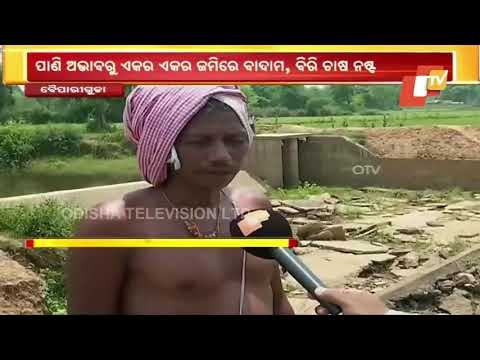 Damaged Check Dam Adds To Woes Of Farmers In Koraput