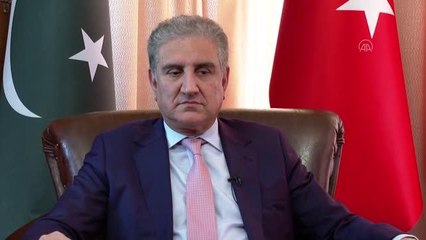 Pakistan's top diplomat banks on UNGA to play role for Palestine (2)