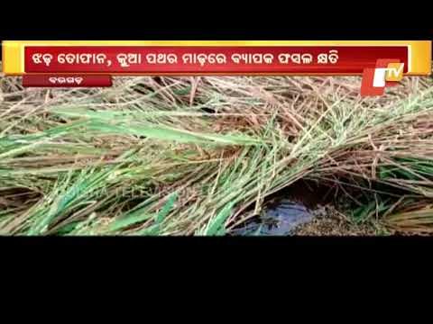 Nor'wester Rain Adds To Woes Of Bargarh Farmers