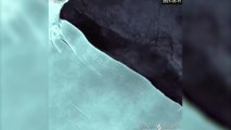 El iceberg más grande del mundo se desprende de la Antártida