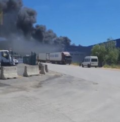 Descargar video: TUZLA'DA LOJİSTİK FİRMASINA AİT DEPODA YANGIN