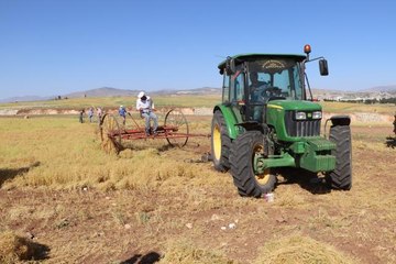 Sezonun ilk mercimek hasadı yapıldı