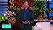 Ellen DeGeneres Speaks Out On Ending Talk Show