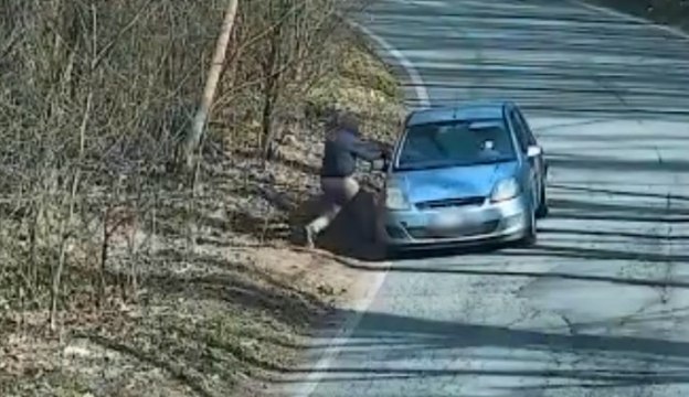 Colverde (CO) - Spaccio di droga nei boschi: 7 arresti (19.05.21)