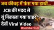 Viral Video: JCB की मदद से बचाई हाथी की जान, Rescue Team के काम ने जीता दिल । वनइंडिया हिंदी