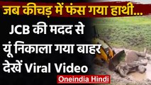 Viral Video: JCB की मदद से बचाई हाथी की जान, Rescue Team के काम ने जीता दिल । वनइंडिया हिंदी