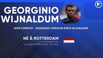 La fiche technique de Georginio Wijnaldum