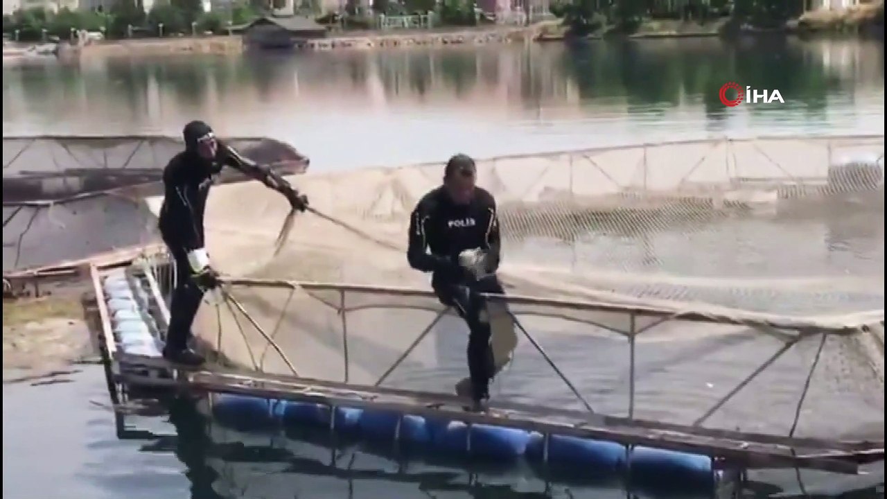 Dalgıç polisler bu kez ağlara takılan kuşu kurtardı