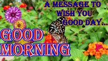 Good morning | good morning wishes | morning song | morning video | morning status | have a nice day ahead | have a blessed day | have a wonderful day | a message to wish you a good day