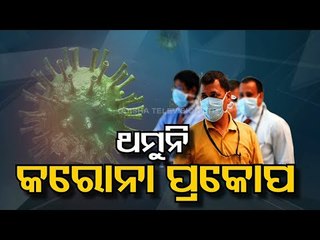 Record 4,205 Covid Deaths In India In 24 Hours; 3,48,421 Cases Today