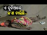 News Fuse | Drunker Baba Sleeps On Road