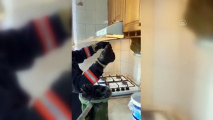 MERSİN - Evin mutfağındaki davlumbaza giren 4 yarasa çıkarılıp doğaya bırakıldı