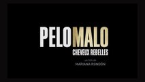 PELO MALO, CHEVEUX REBELLES (2013) VOSTFR HDTV-XviD MP3