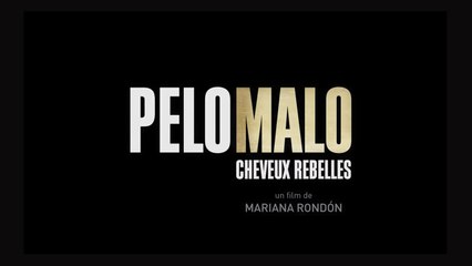 PELO MALO, CHEVEUX REBELLES (2013) VOSTFR HDTV-XviD MP3