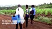 Kenya: des équipes mobiles pour vacciner les habitants des zones rurales