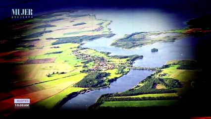 ¿Quieres un perrito? | Los Pomeranian te encantarán | Mujer  - Nex Panamá