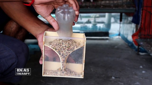 How To Make Automatic Unique Bird Feeder | Diy Bird Feeder | Homemade Birdcage | Plastic Bird Feeder