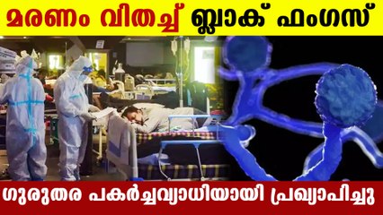 Black fungus announced as epidemic