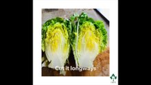 IRFU Chef Lettuce