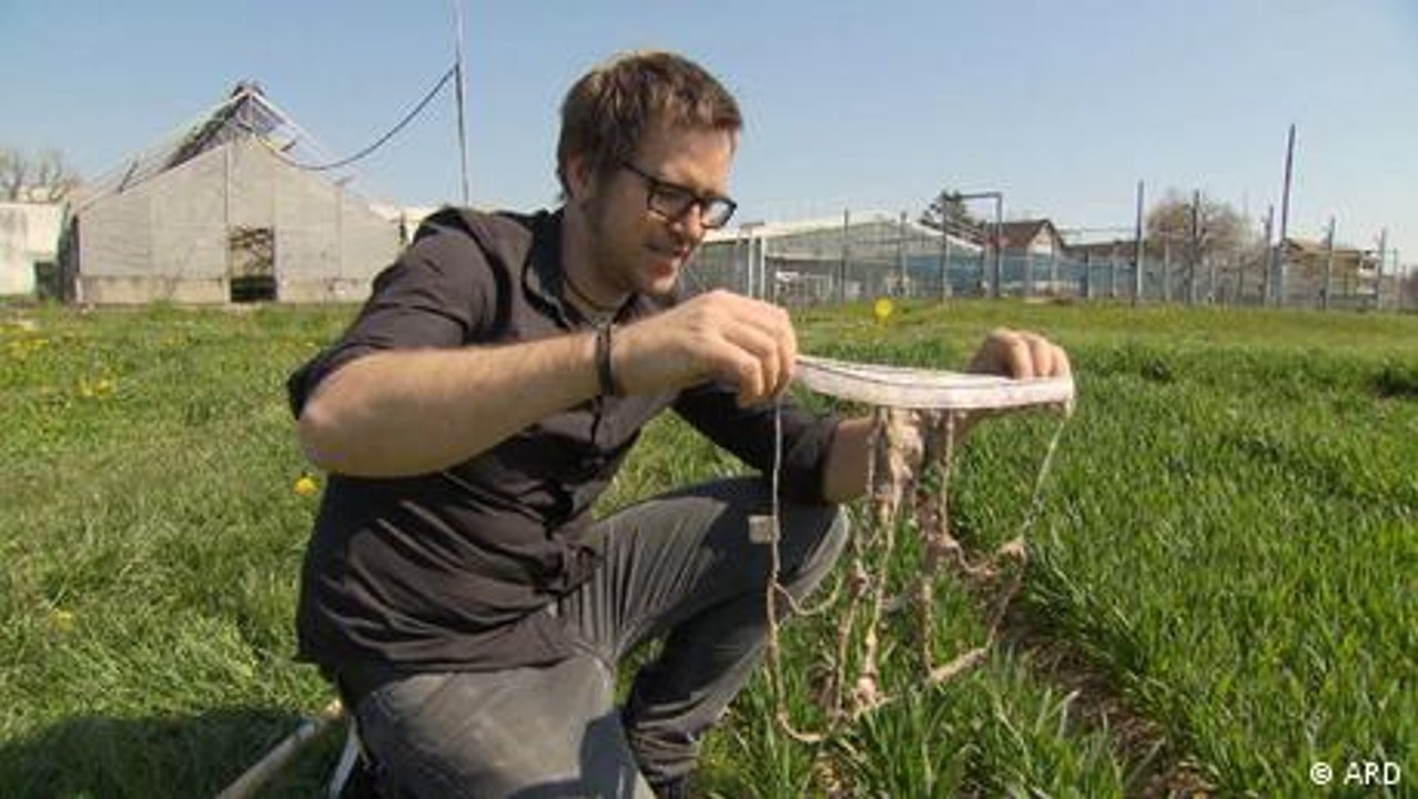 Schweiz: Der Unterhosentest