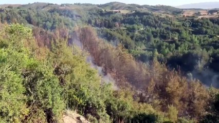 OSMANİYE - Düziçi'nde orman yangını
