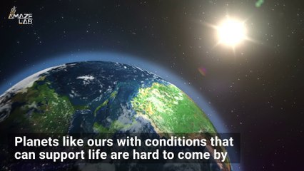 Could This Exoplanet Have the Right Conditions to Support Life?