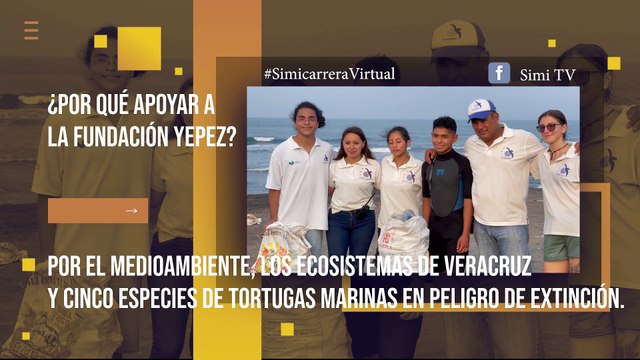 SIMICARRERA | ¡Ayudemos a las tortugas de Veracruz!